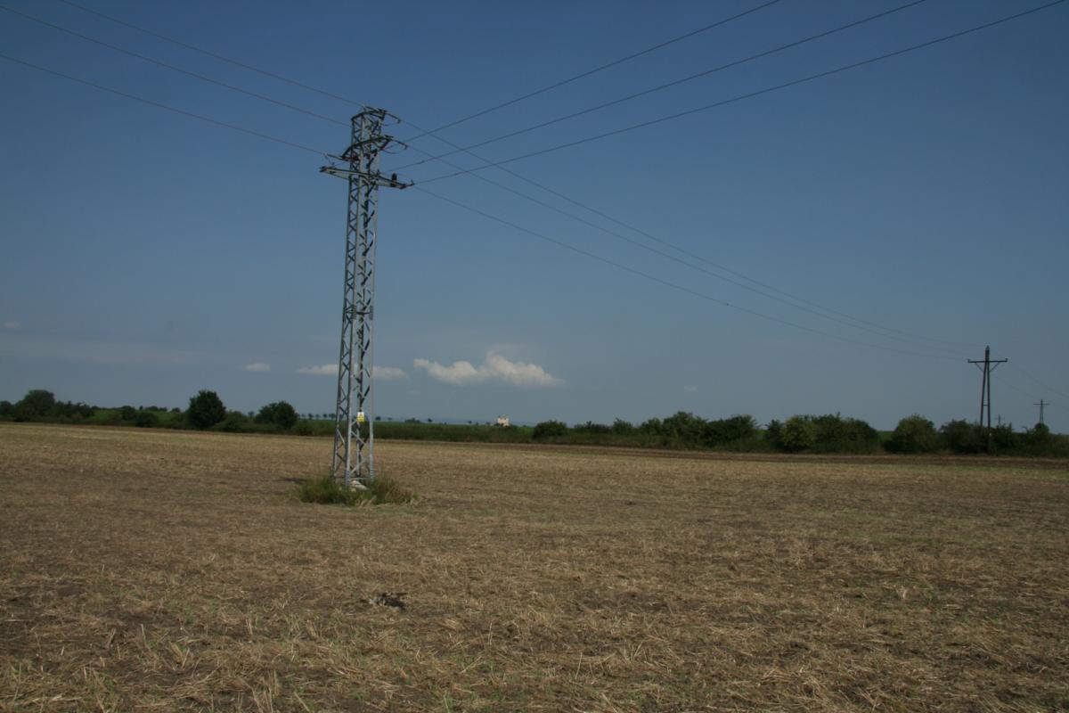 Záber na stĺp s usmrteným sokolom rárohom – Česká republika, 2011