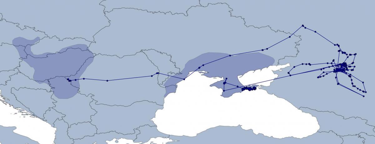 Придвижванията на Теа в Източна Европа (ареалите на популациите на ловния сокол са дадени в по-тъмно синьо)