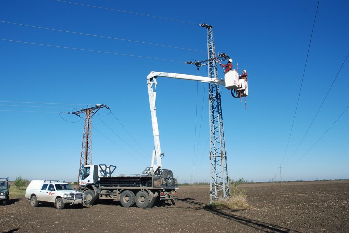 Sokol rároh usmrtený elektrickým prúdom v Maďarsku, Törökszentmiklós - August 2010 (Photo: János Bagyura)