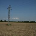 The killer pylon with Sepsana’s carcass in the Czech Republic, August 2011 (Photo: Jozef Chavko)