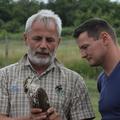 Мадар (Birdy) пусна на свобода възстановен ловен сокол